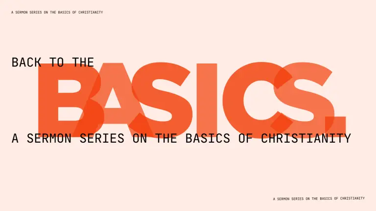 back to the basics